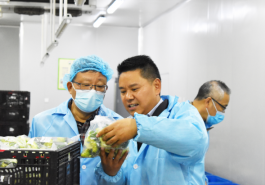 上秋制冷助力太來果蔬合作社，開啟農(nóng)業(yè)保鮮新篇章